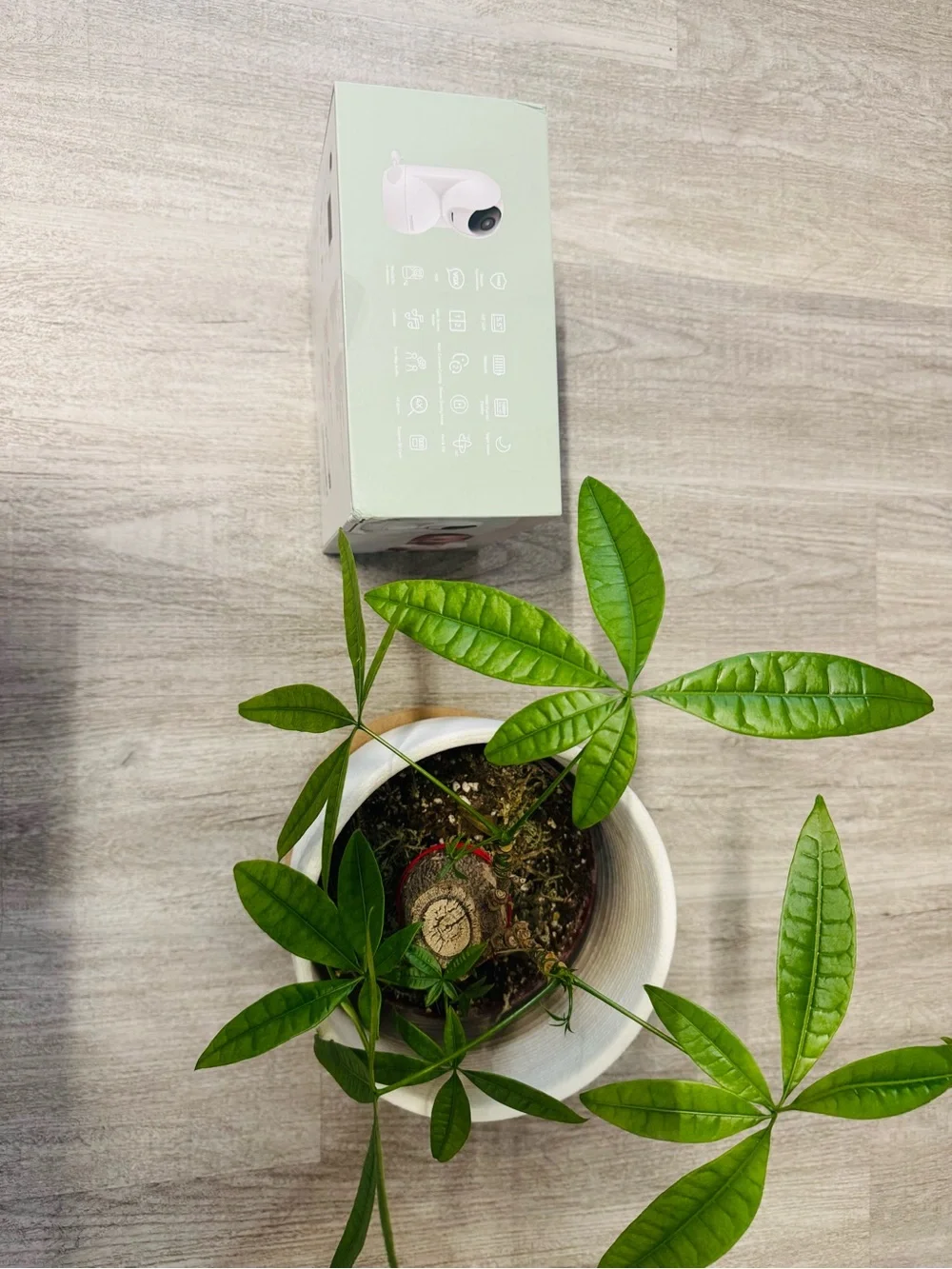NEW Momcozy 5.5" HD Baby Monitor (White) - Picture 10 of 12